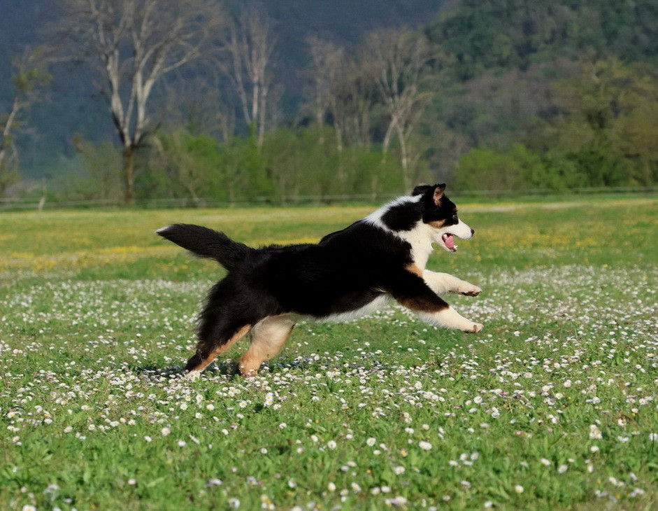 Usa Nebraska Black Du Paradis Sauvage De Menestruel
