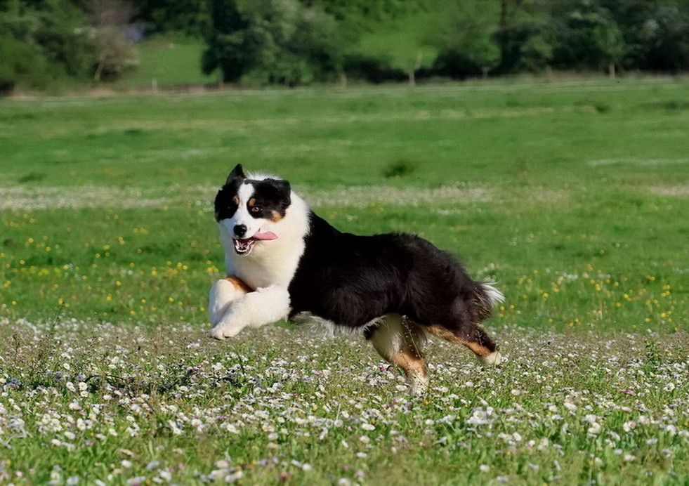 Usa Nebraska Black Du Paradis Sauvage De Menestruel