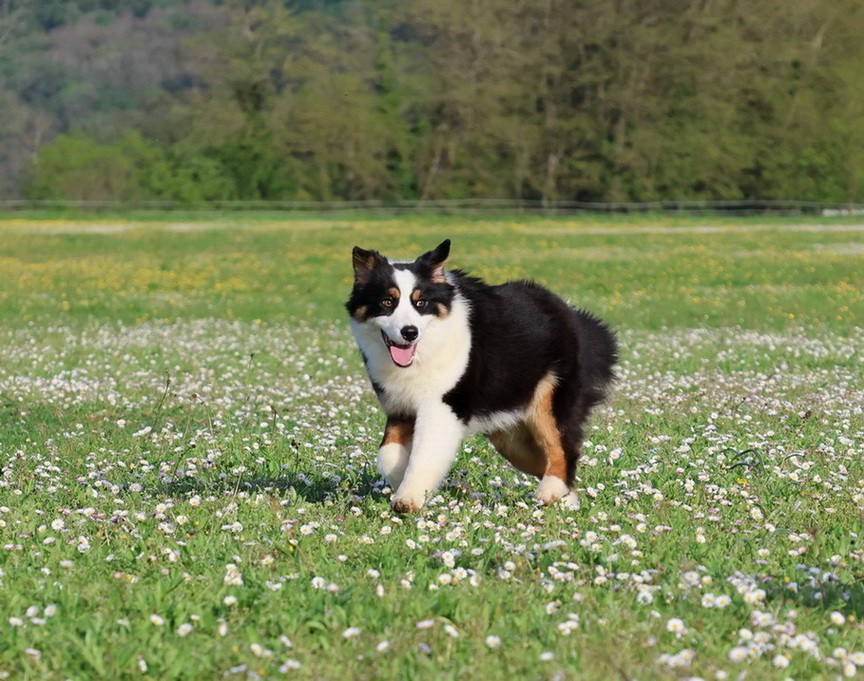 Usa Nebraska Black Du Paradis Sauvage De Menestruel