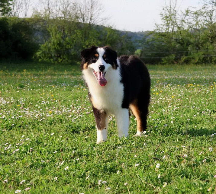 Usa Nebraska Black Du Paradis Sauvage De Menestruel