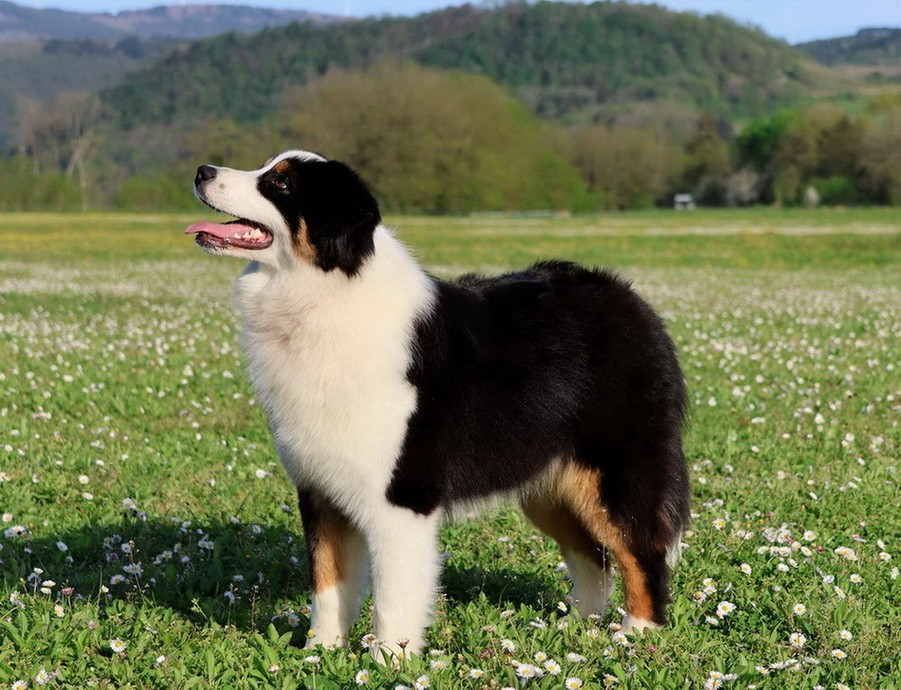 Usa Nebraska Black Du Paradis Sauvage De Menestruel
