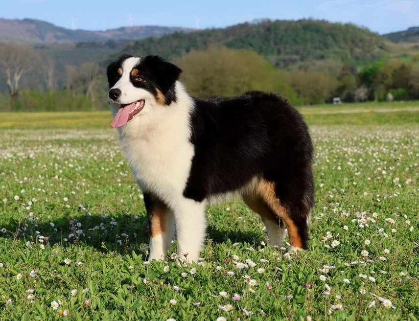 Usa Nebraska Black Du Paradis Sauvage De Menestruel