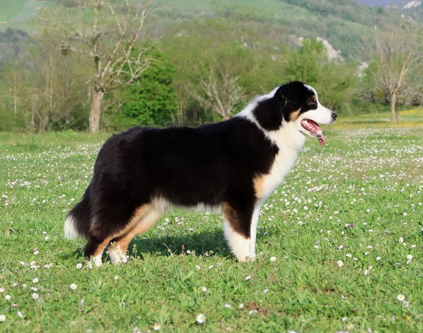 Usa Nebraska Black Du Paradis Sauvage De Menestruel