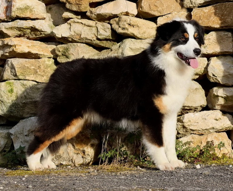 Usa Nebraska Black Du Paradis Sauvage De Menestruel