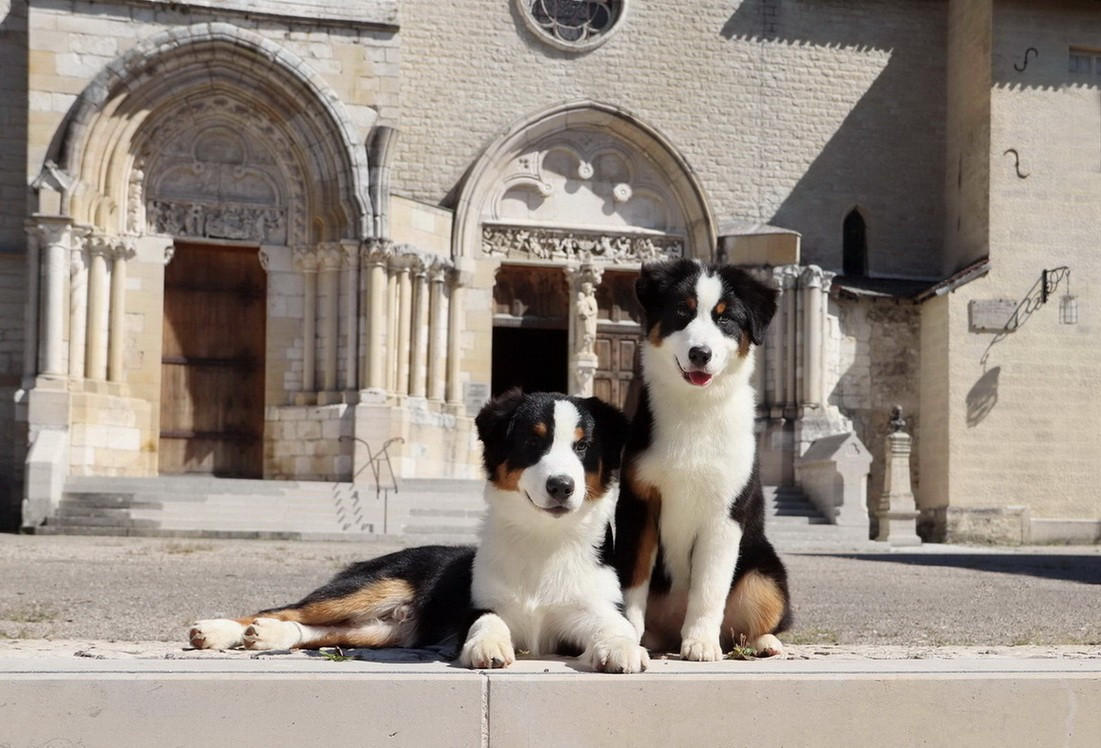 Usa Nebraska Black Du Paradis Sauvage De Menestruel