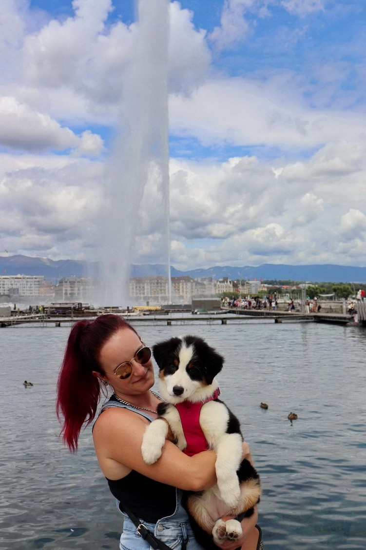 Usa Nebraska Black Du Paradis Sauvage De Menestruel