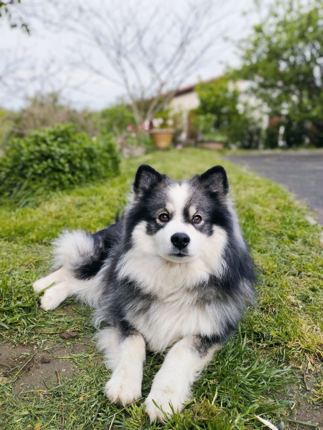 Publication : Tweed Lenissei