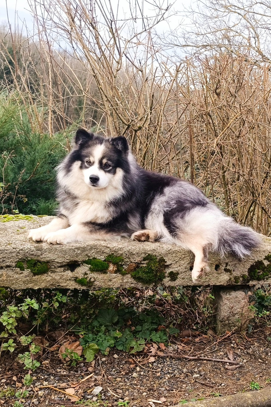 Publication : Tweed Lenissei