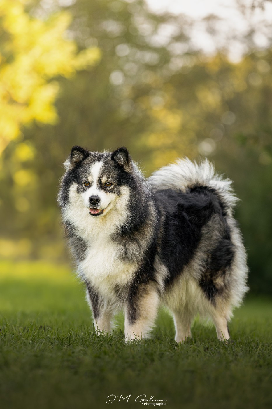 Publication : Tweed Lenissei