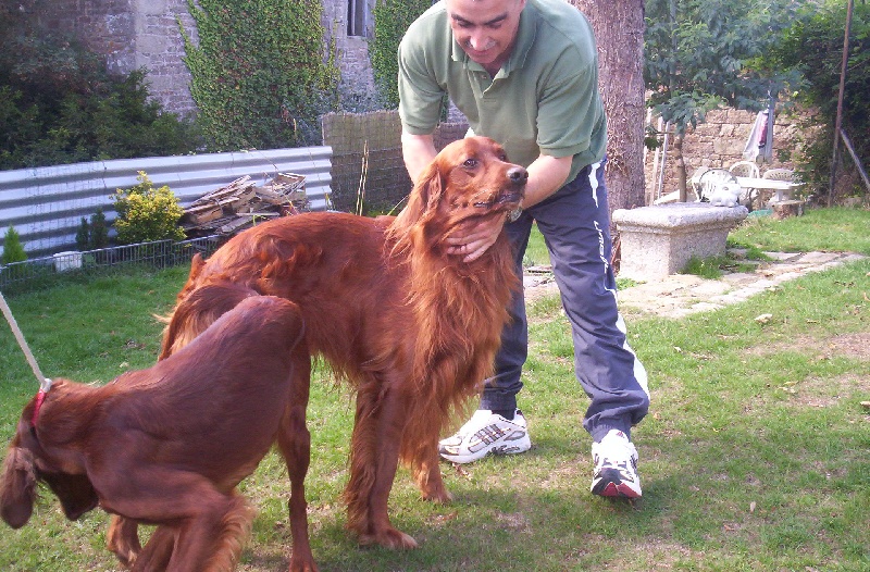 Publication : LA VALLEE DU PONT MEUR