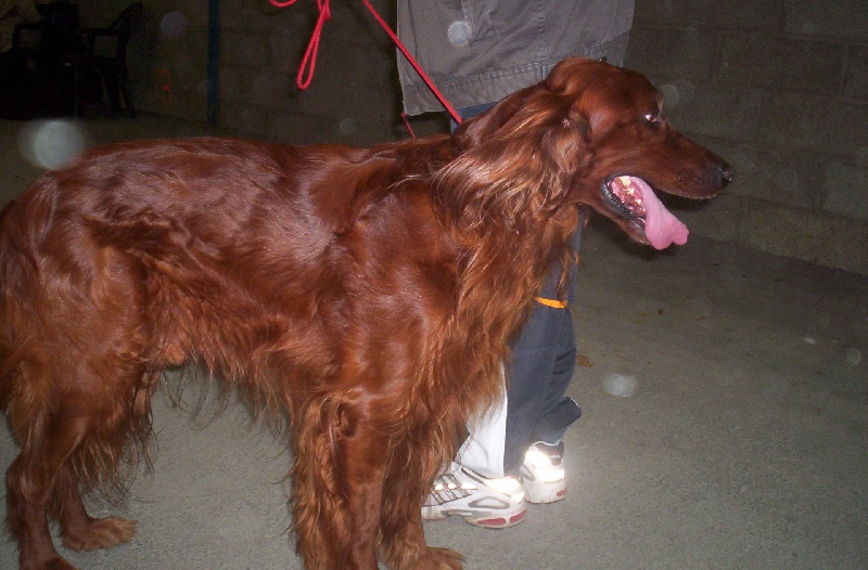 Publication : LA VALLEE DU PONT MEUR