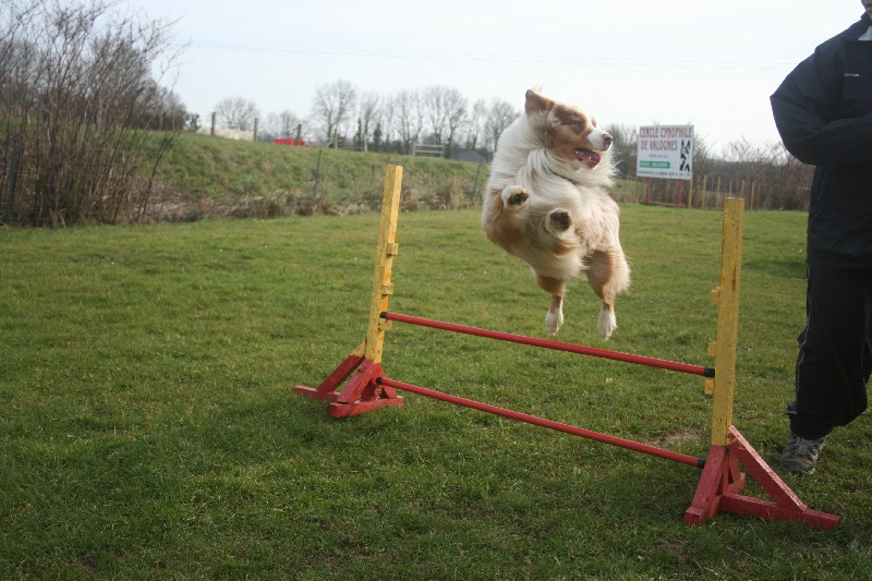 Dexter des minis toon's