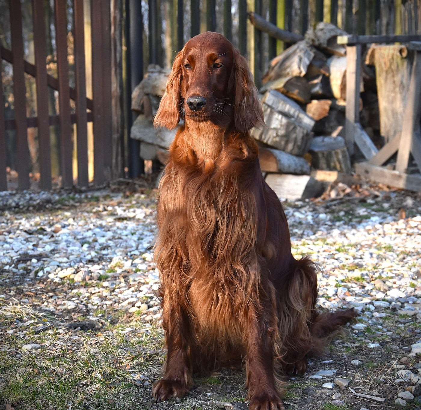 Publication : De L'anneau Du Kerry Auteur : Catherine KELLER