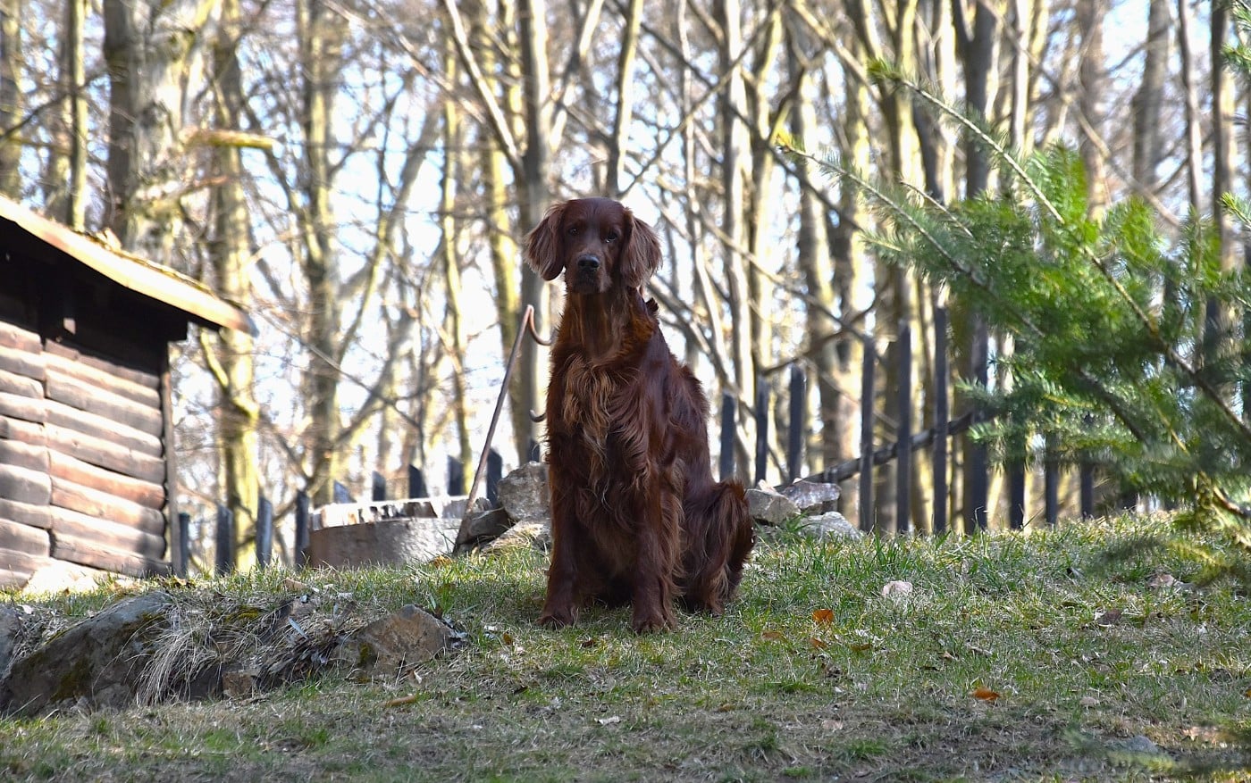 Publication : De L'anneau Du Kerry Auteur : CATHERINE KELLER