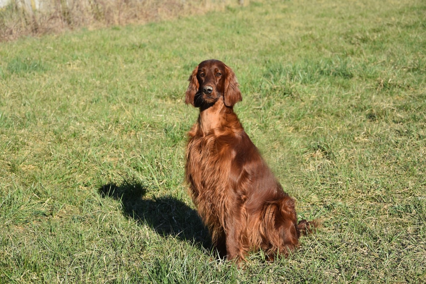 Publication : De L'anneau Du Kerry Auteur : Catherine KELLER