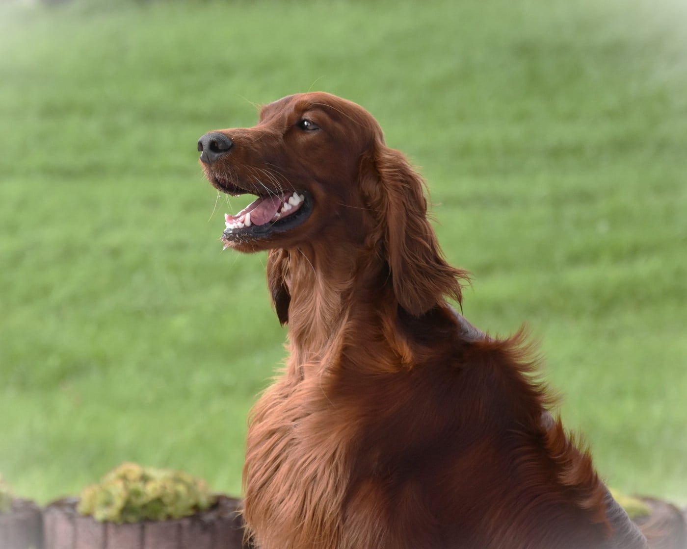 Publication : De L'anneau Du Kerry Auteur : Catherine KELLER