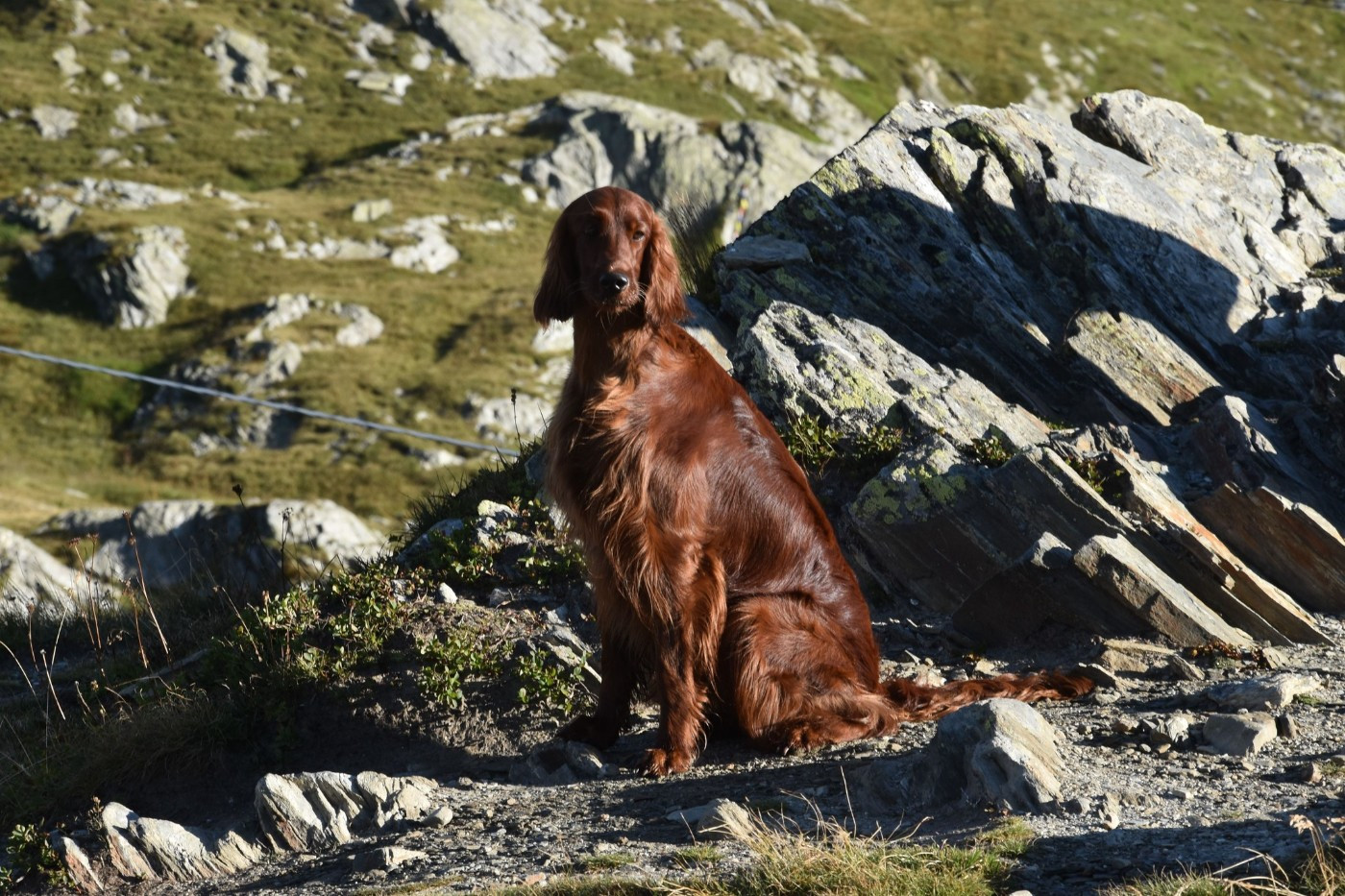 Publication : De L'anneau Du Kerry Auteur : Catherine KELLER