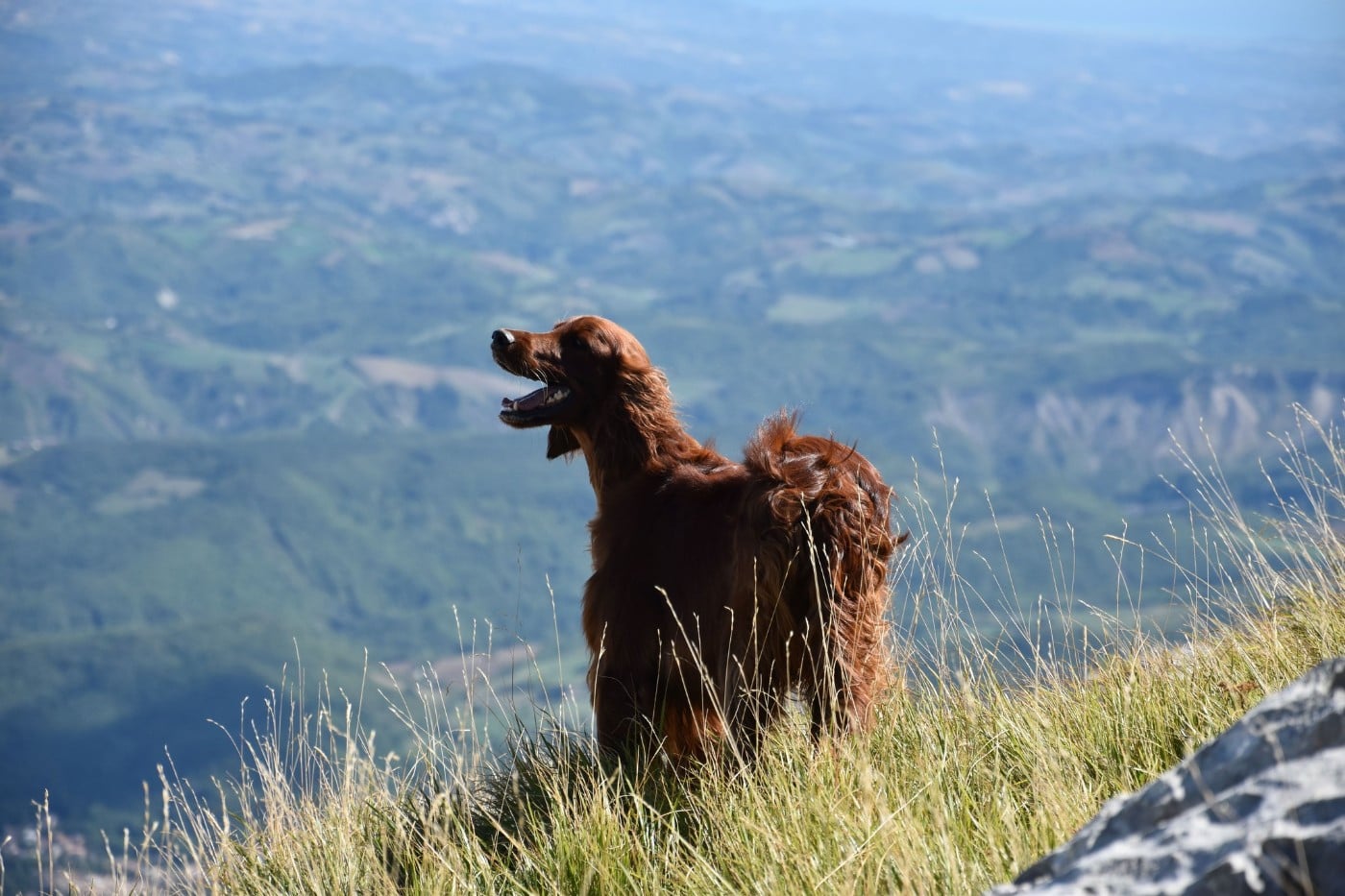 Publication : De L'anneau Du Kerry Auteur : Catherine KELLER