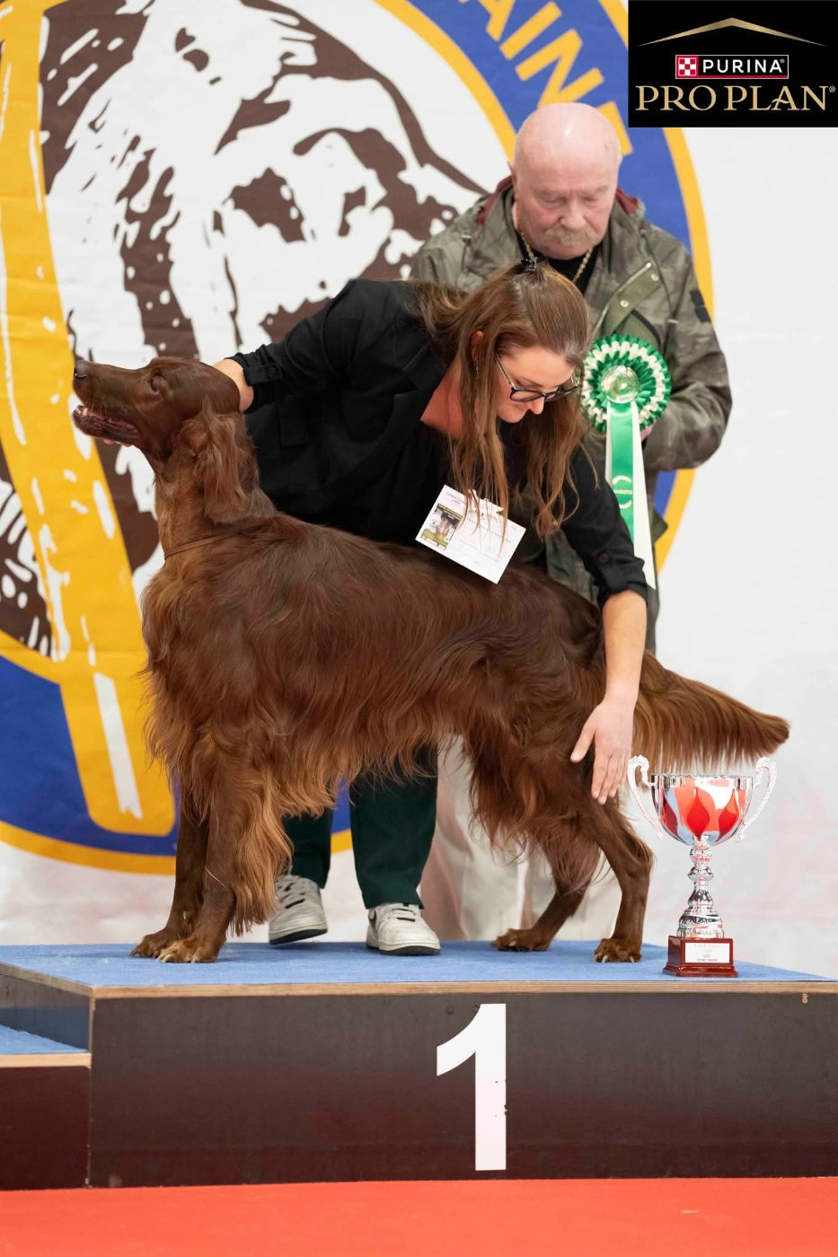 CH. Suo Dolce Figlio De L'anneau Du Kerry