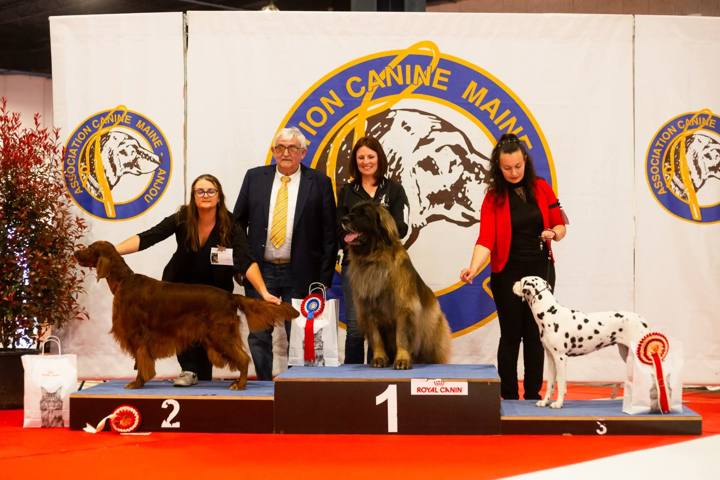 Publication : De L'anneau Du Kerry Auteur : Karl Donvil