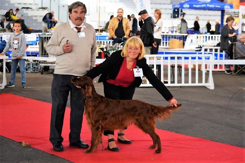 CH. Flavy De L'anneau Du Kerry - 1ER EXC. classe champion CACIB/ Meilleur de race BOB