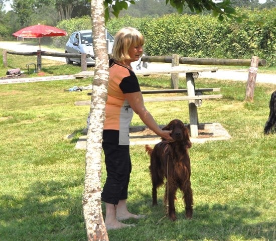 CH. Flavy De L'anneau Du Kerry - 1ere exc. CAC Meilleur de Race