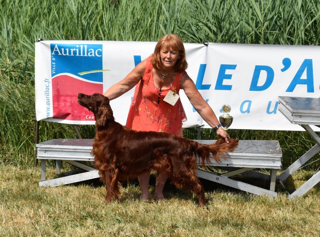 CH. Flavy De L'anneau Du Kerry - 1er exc. + Meilleur vétéran . 2ème BOG groupe 7