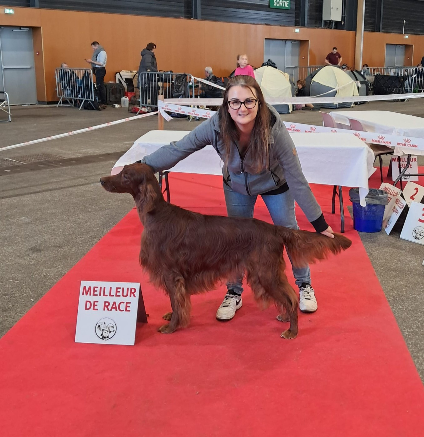 CH. Mio bellissimo maschio De L'anneau Du Kerry - 1er exc. CACIB Vétéran/Meilleur vétéran/Meilleur de race