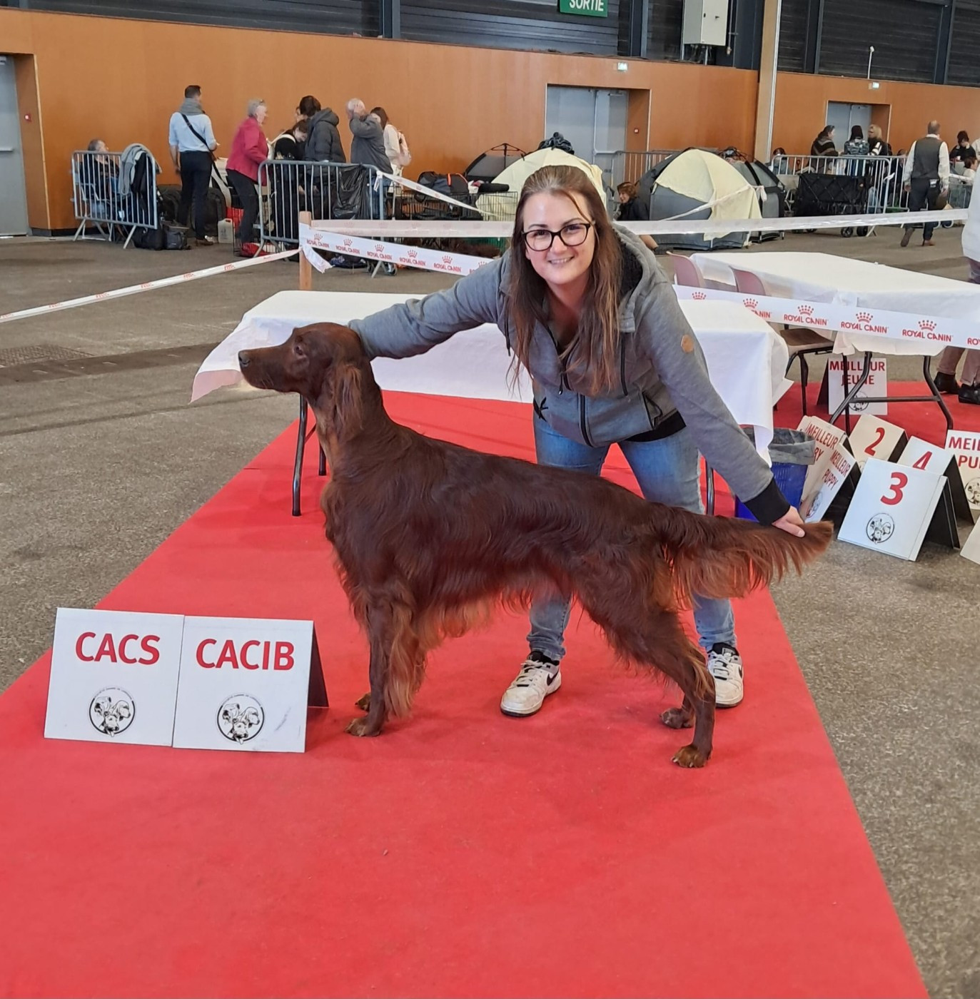 Suo dolce figlio De L'anneau Du Kerry - 1er exc. CACIB/CACS