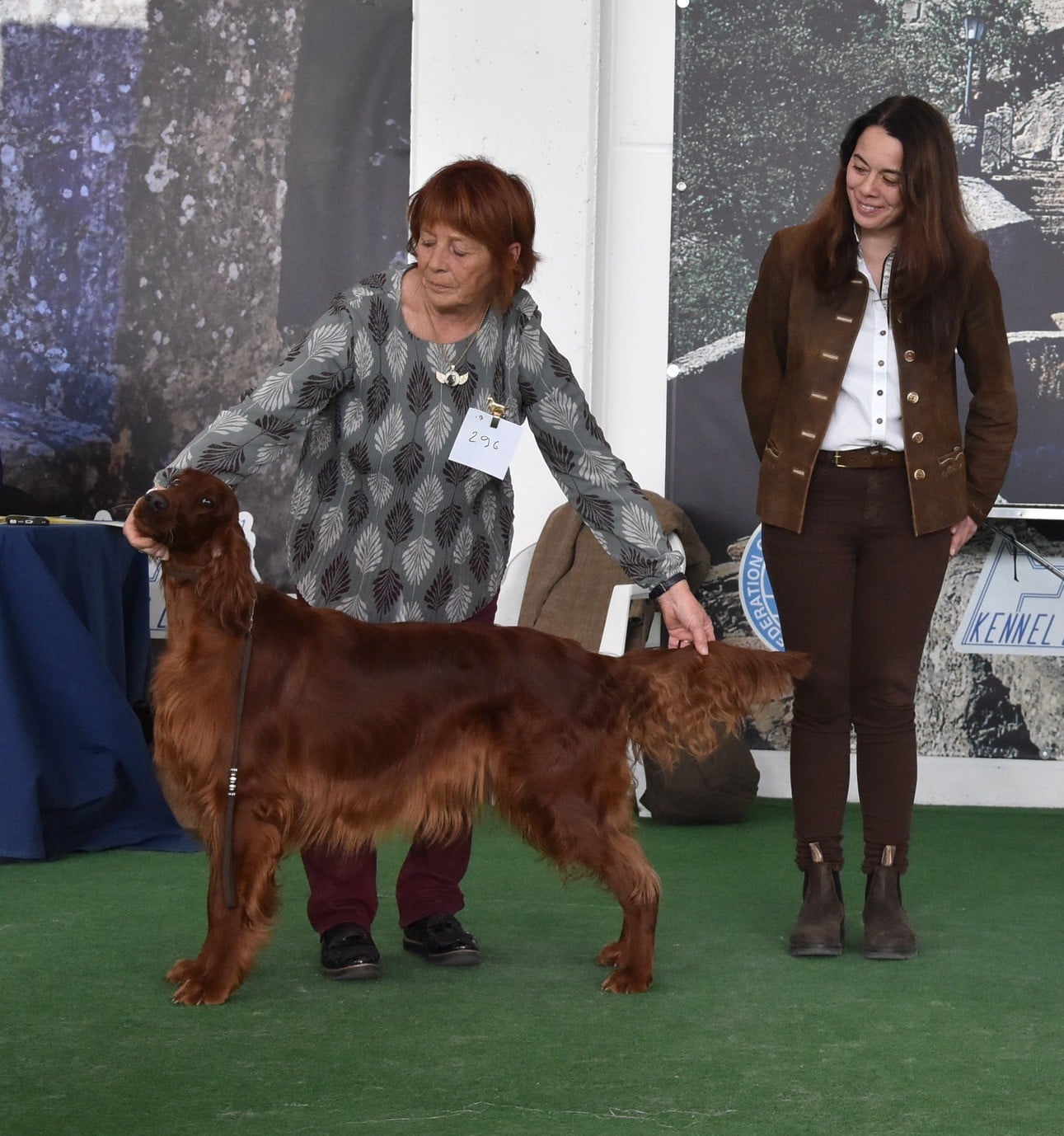 CH. U're kaitlyn meadows fairy De L'anneau Du Kerry - 1er exc. Classe champion / BOB/ CACIB/CAC