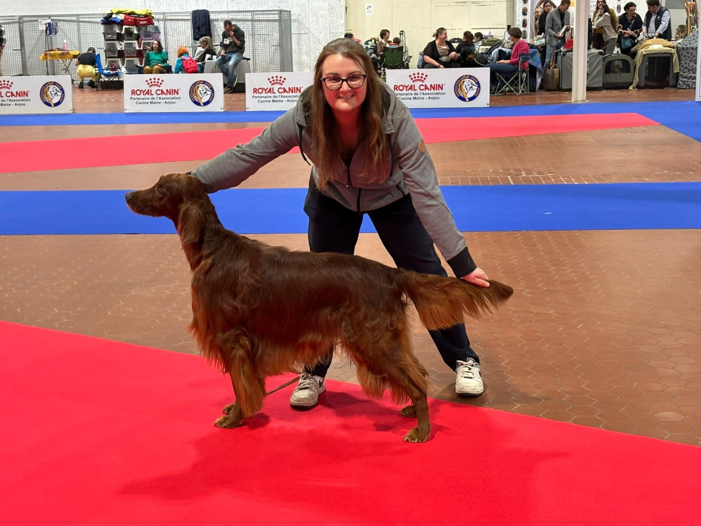 CH. Mio bellissimo maschio De L'anneau Du Kerry - 1er exc. classe vétéran CACSV/BOBVétéran/BOB/2ème BEST IN SHOW Vétéran