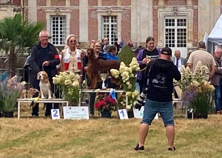 CH. Mio bellissimo maschio De L'anneau Du Kerry - 1er exc. CACVétéran +BOB Vétéran + BEST IN SHOW 1