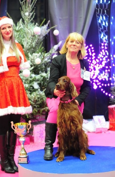 CH. Flavy De L'anneau Du Kerry - 1ER EXC. classe champion CACIB/ Meilleur de race BOB 2ème Meilleur de groupe