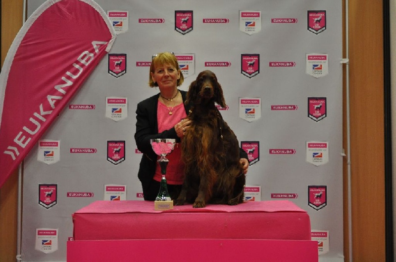 CH. Flavy De L'anneau Du Kerry - 1er exc. en champion/CACIB/BOB/3ième BOG