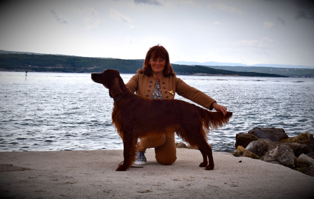 CH. Flavy De L'anneau Du Kerry - 1er exc. Meilleur vétéran