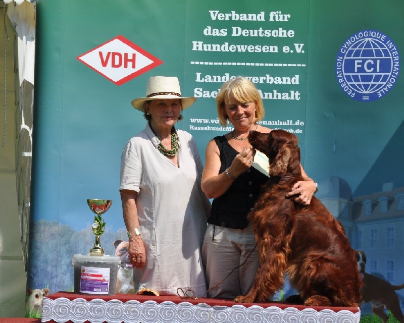 CH. Flavy De L'anneau Du Kerry - 1er exc./CAC/ Anw. Dt Ch. VDH/Club/ meilleur de race et meilleur de groupe