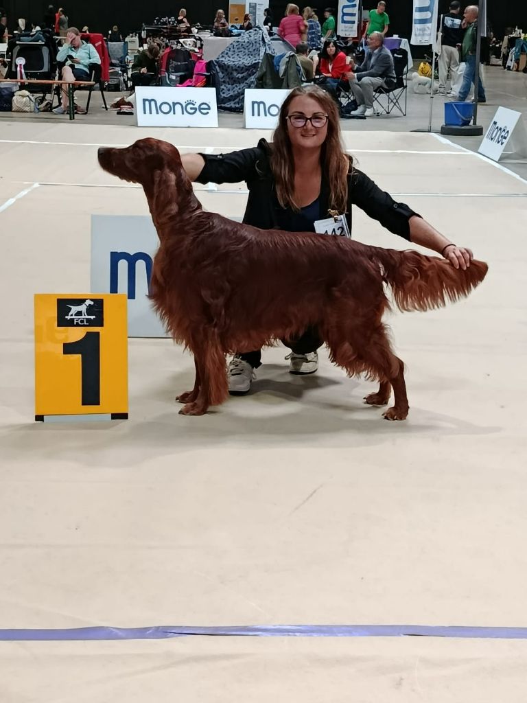 CH. Mio bellissimo maschio De L'anneau Du Kerry - 1er exc. CACL, CACIB Vétéran, BOB Vétéran et 3ème BEST IN SHOW VETERAN/42