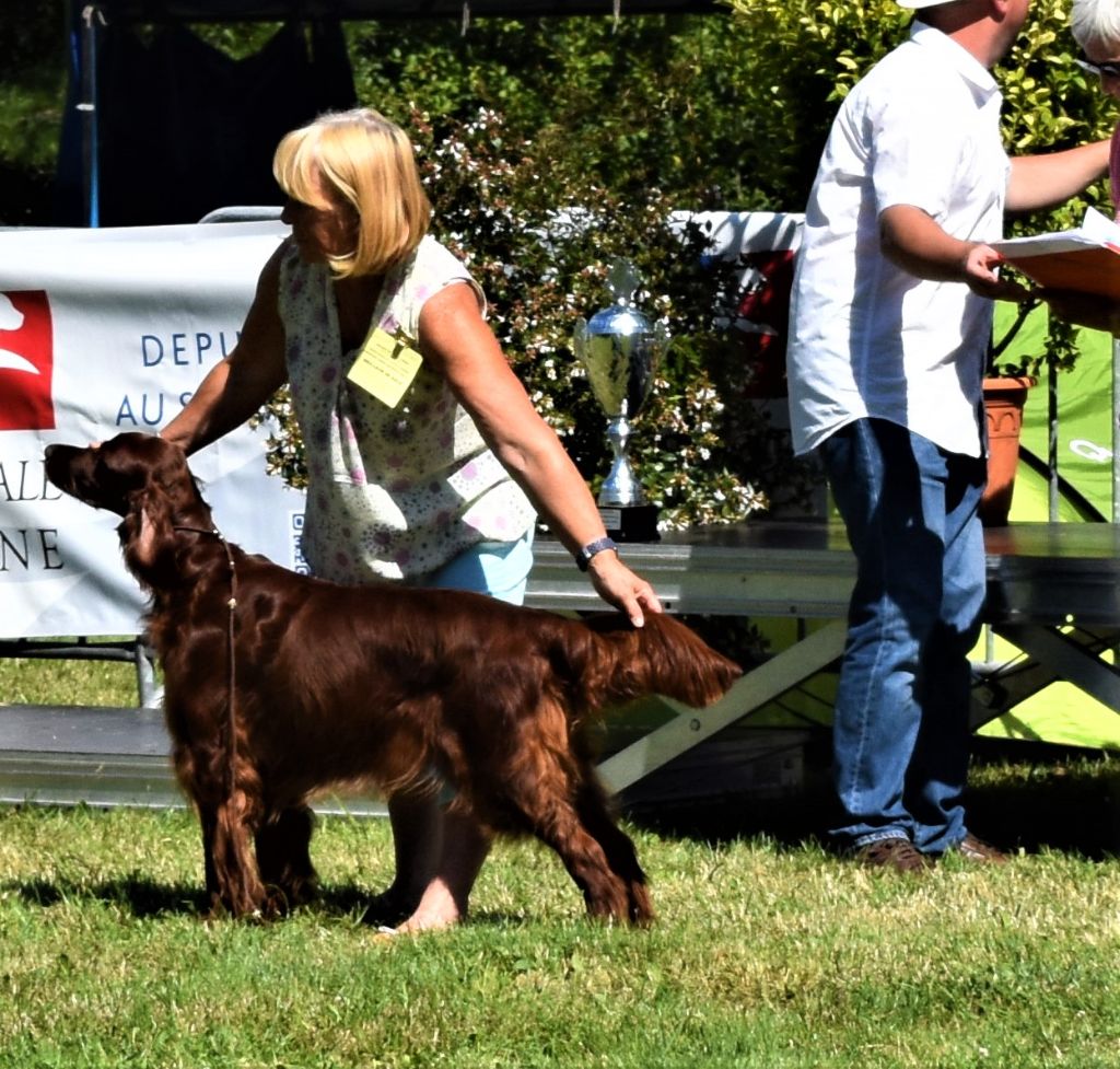 CH. Flavy De L'anneau Du Kerry - 1ER EXC. classe champion/ meilleur de race/ 3ème Best Champion