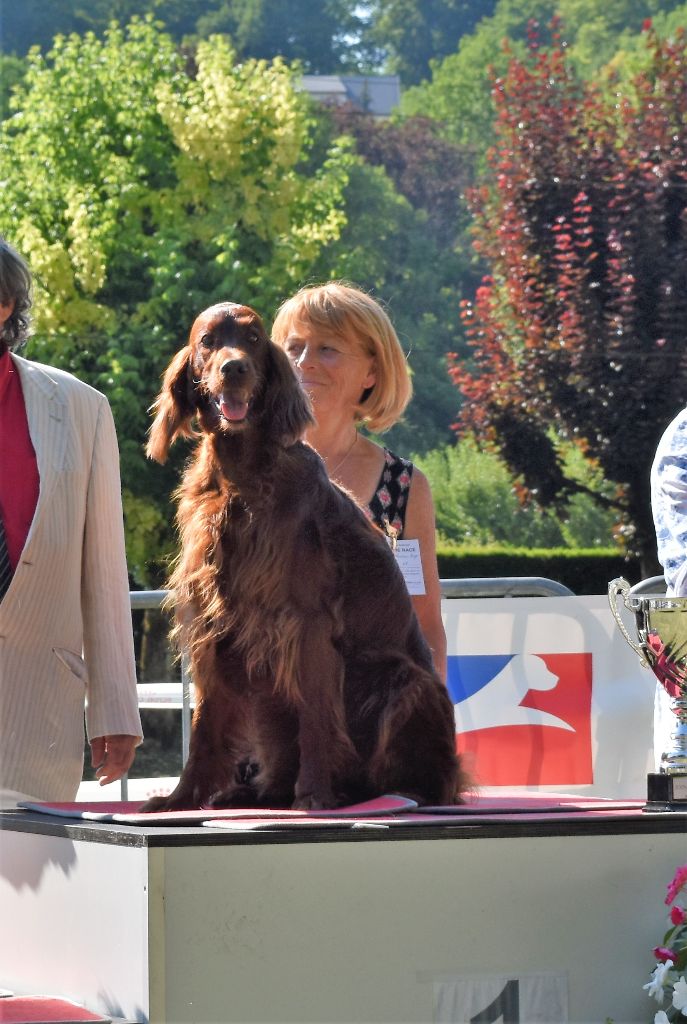 CH. Flavy De L'anneau Du Kerry - 1er exc. Meilleur Vétéran/ 2ème BIS VETERAN, BOB,BOG ,BIS MEILLEUR CHIEN D'EXPO