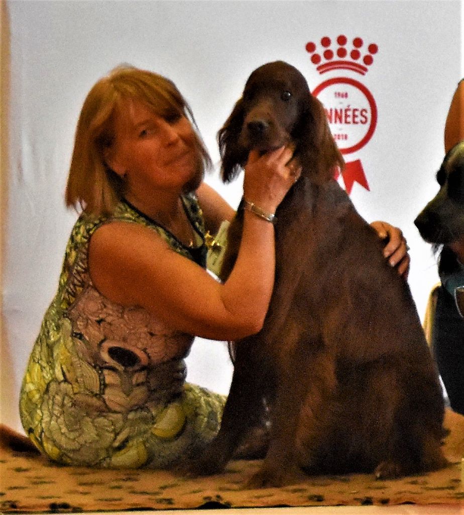 CH. Flavy De L'anneau Du Kerry - 1er exc. Meilleur Vétéran/ Meilleur de Race / 1er Best in Show vétéran/ 2ème BIG