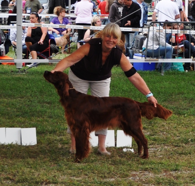 CH. Flavy De L'anneau Du Kerry - CACIB / CACS 1ère exc.