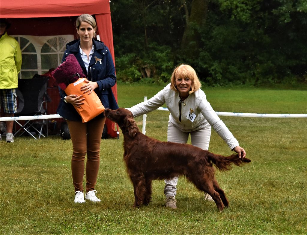 CH. Flavy De L'anneau Du Kerry - 1er exc. Meilleur Vétéran/ 1er Best in Show vétéran