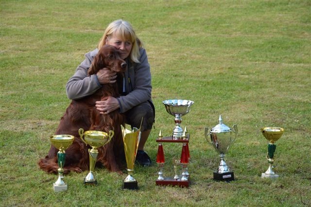 CH. Flavy De L'anneau Du Kerry - 1er exc. Meilleur ce Race + Meilleur de groupe + Meilleur de l'expo BEST IN SHOW