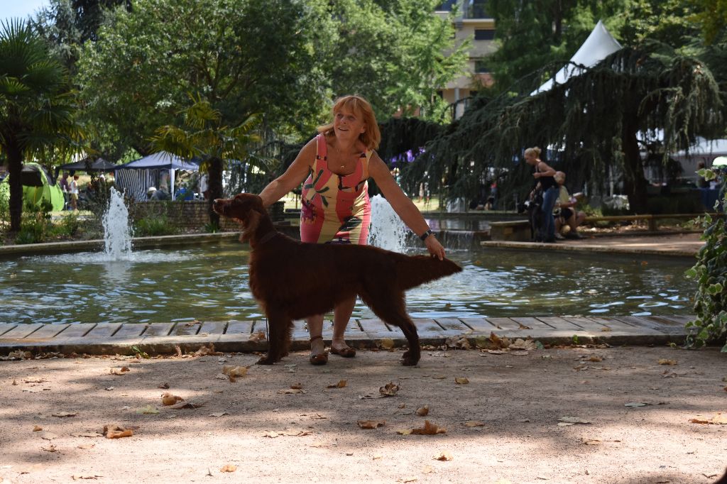 CH. Flavy De L'anneau Du Kerry - 1er exc. Meilleur Vétéran/ Meilleur de Race /