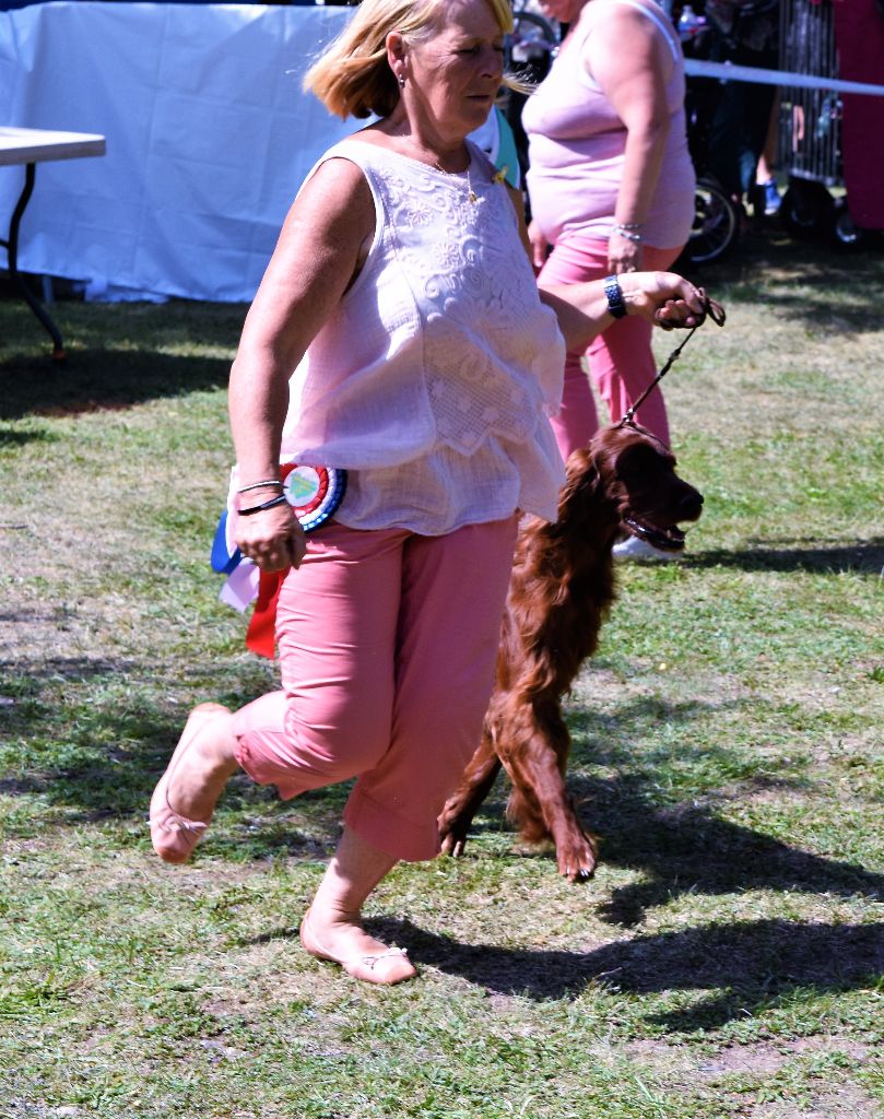CH. Flavy De L'anneau Du Kerry - 1ER EXC. classe champion/ meilleur de race/2ème BOG/Meilleur champion