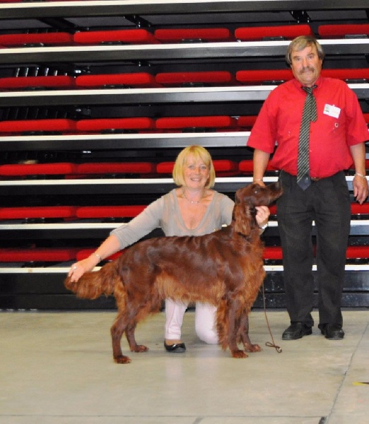 CH. Flavy De L'anneau Du Kerry - CACIB/MEILLEUR CHAMPION-MEILLEUR DE RACE SEXE OPPOSE,1ER Exc.