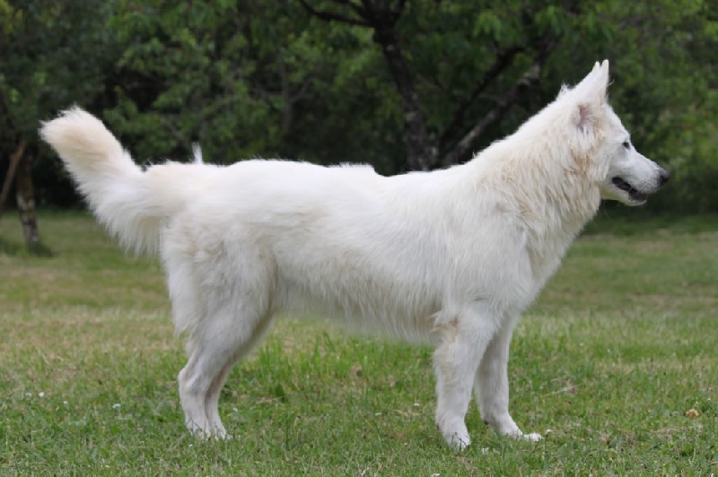 Publication : De La Tour De Babel