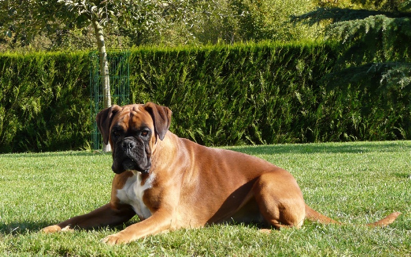 Publication : Du puits calin Auteur : ed.goujon