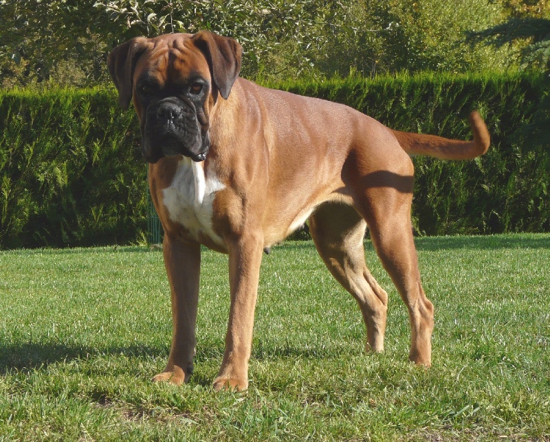 Publication : Du puits calin Auteur : ed.goujon