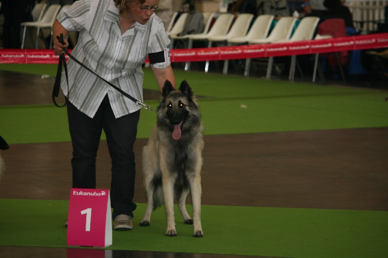 Sr fylline Des Crinieres Aux Vents - 1 ème Excellent Meilleur jeune